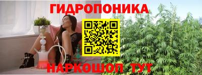 эйфоретик Моздок