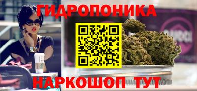 эйфоретик Моздок