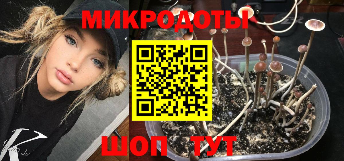 Псилоцибиновые грибы прущие грибы  Вход с VPN  Старая Купавна 